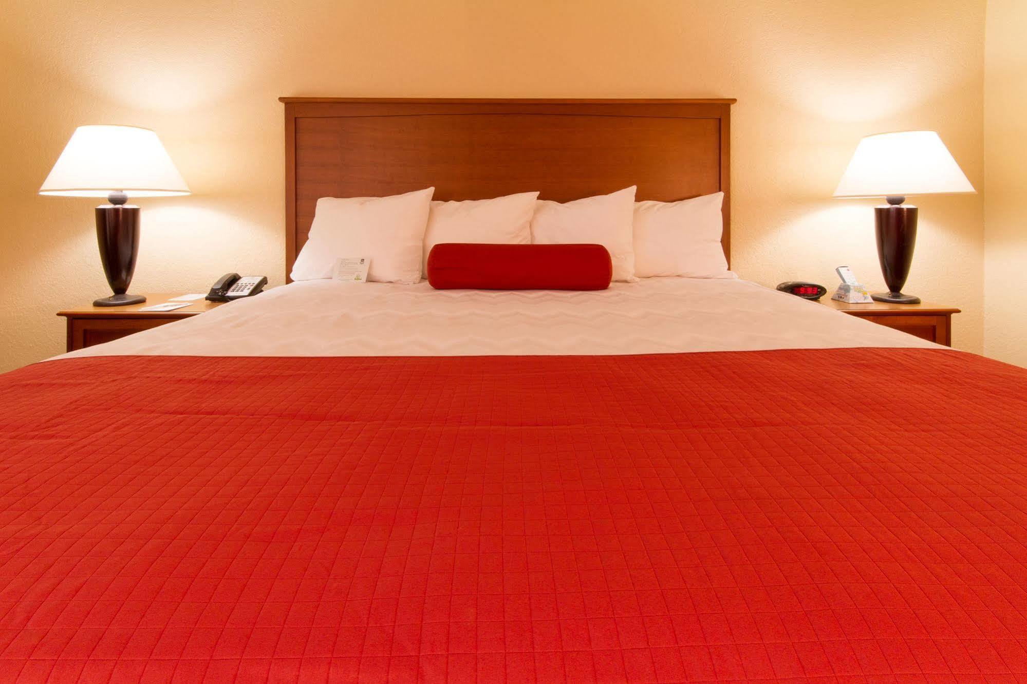 Best Western International Speedway Hotel Daytona Beach Exteriör bild